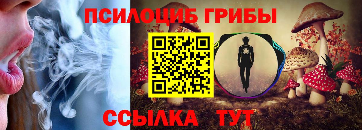 Выкса  как найти закладки  Вход с VPN  Псилоцибиновые грибы Psilocybine cubensis 